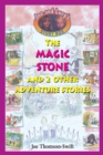 Image for The magic stone: The nether children from the Land of Brucia ; The nutty kingdom of Roger the Great
