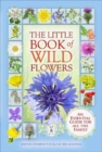 Image for The little book of wild flowers  : a new world to discover
