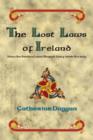 Image for The lost laws of Ireland