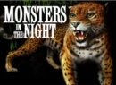 Image for Monsters in the Night
