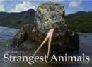 Image for The World&#39;s Strangest Animals: Nature&#39;s Weird and Wonderful Creatures