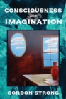 Image for Consciousness and Imagination