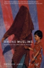 Image for Among Muslims: meetings at the frontiers of Pakistan