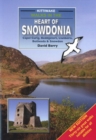 Image for Walks in the Heart of Snowdonia