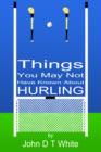Image for 101 Things You May Not Have Known About Hurling