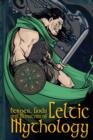 Image for Heroes, gods and monsters of Celtic mythology