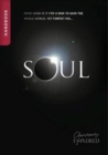 Image for Soul Handbook