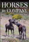 Image for Horses in company