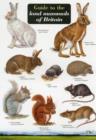 Image for Guide to the Land Mammals of Britain