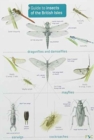 Image for Guide to Insects of the British Isles