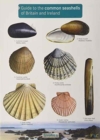 Image for Guide to the Common Seashells of Britain and Ireland