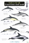 Image for Guide to the UK Cetaceans and Seals