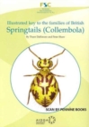 Image for Illustrated Key to the Families of British Springtails (Collembola)