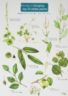 Image for Guide to Foraging: Top 25 Edible Plants