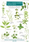 Image for Guide to Ancient Woodland Indicator Plants