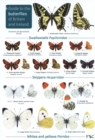 Image for Guide to the butterflies of Britain and Ireland