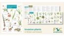 Image for Guide to the non-native invasive plants of Britain and Ireland