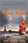 Image for Flash Harry
