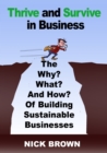 Image for Thrive and survive in business: the why, what and how of buildiing sustainable businesses : discover which questions to ask, the pitfalls to avoid, what to do and where to find practical help