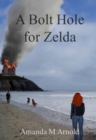 Image for A bolt hole for Zelda