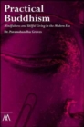 Image for Practical Buddhism  : mindfulness and skilful living in the modern era