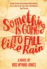 Image for Something is going to fall like rain