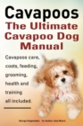 Image for Cavapoos: The Ultimate Cavapoo Dog Manual : Cavapoos Care, Costs, Feeding, Grooming, Health and Training