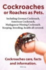 Image for Cockroaches as Pets. Cockroaches care, facts and information. Including German Cockroach, American Cockroach, Madagascar Hissing Cockroach. Keeping, breeding, health all covered.