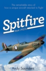 Image for Spitfire Mark I P9374: the extraordinary story of recovery, restoration and flight