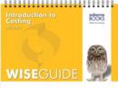 Image for Introduction to Costing Wise Guide
