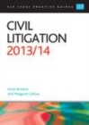 Image for Civil litigation