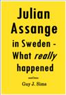 Image for Julian Assange in Sweden