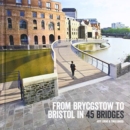 Image for From Brycgstow to Bristol in 45 Bridges