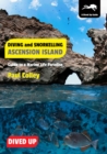 Image for Diving and snorkelling Ascension Island: guide to a marine life paradise