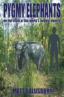 Image for Pygmy Elephants