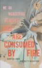 Image for We Go Wandering at Night and Are Consumed by Fire