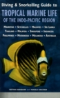 Image for Diving &amp; Snorkelling Guide to Tropical Marine Life of the Indo-Pacific