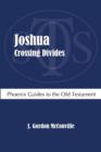 Image for Joshua : Crossing Divides