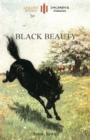 Image for Black Beauty : With 21 Original Illustrations by the Author (Aziloth Books)