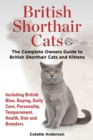 Image for British Shorthair Cats, The Complete Owners Guide to British Shorthair Cats and Kittens Including British Blue, Buying, Daily Care, Personality, Temperament, Health, Diet and Breeders