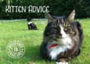 Image for Kitten Advice Notecards