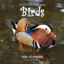 Image for Draw Your Own Encyclopaedia Birds