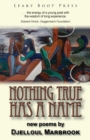 Image for Nothing True Has a Name