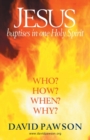 Image for Jesus baptises in one Holy Spirit  : who? how? when? why?