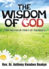 Image for The Wisdom of God