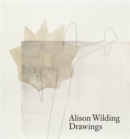 Image for Alison Wilding : Drawings