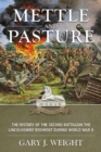 Image for Mettle and pasture  : the history of the Second Battalion the Lincolnshire Regiment during World War II