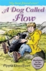 Image for A Dog Called Flow