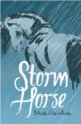 Image for Storm Horse