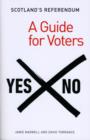 Image for Scotland&#39;s referendum  : a guide for voters